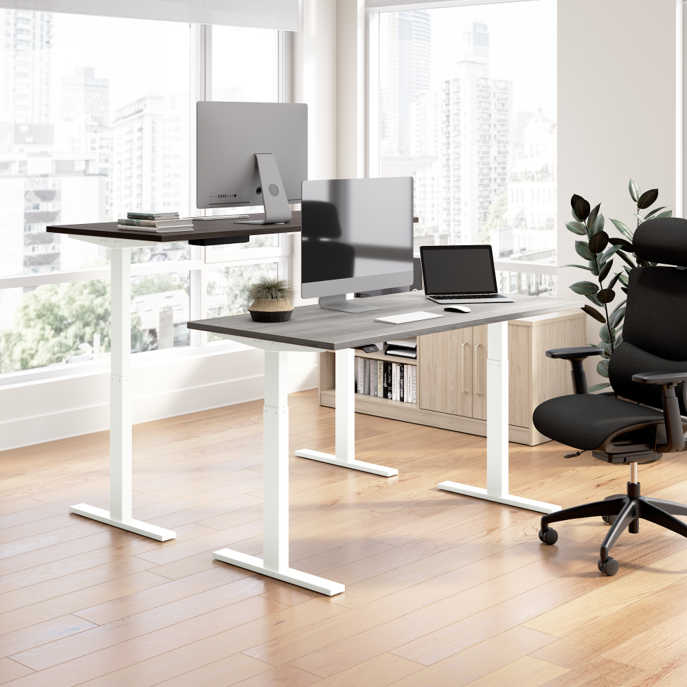 72W x 30D Height Adjustable Standing Desk